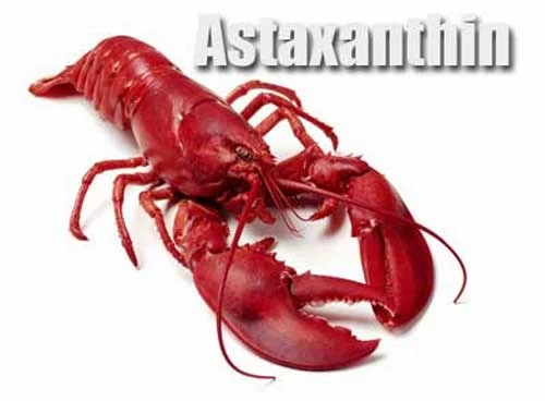 astaxanthin