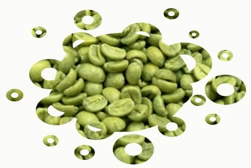 green coffee bean
